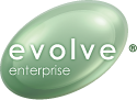 Evolve Consulting Services Ltd